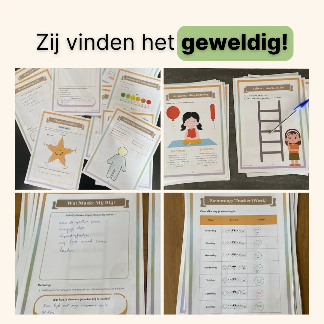 Collage met foto's van werkbladen uit het werkboek en positieve testimonials