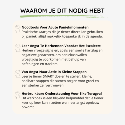 Uitleg over de voordelen van het Angst Reset Werkboek, zoals noodzaak voor acute paniekmomenten en herbruikbare ondersteuning.