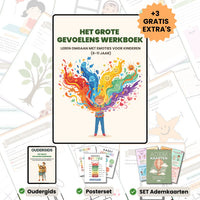 Het grote gevoelens werkboek