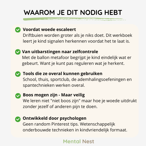 uitleg over de noodzaak van het werkboek 'Omgaan met Woede' voor kinderen, met punten over woederegulatie en tools