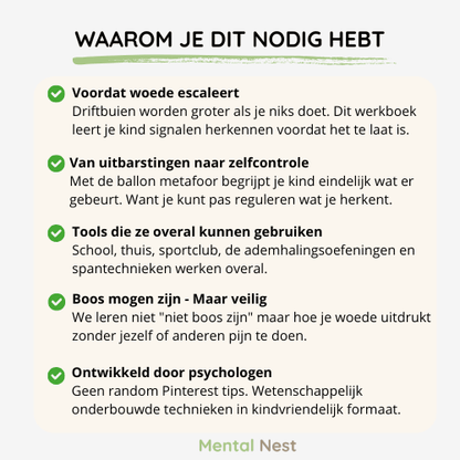 uitleg over de noodzaak van het werkboek 'Omgaan met Woede' voor kinderen, met punten over woederegulatie en tools